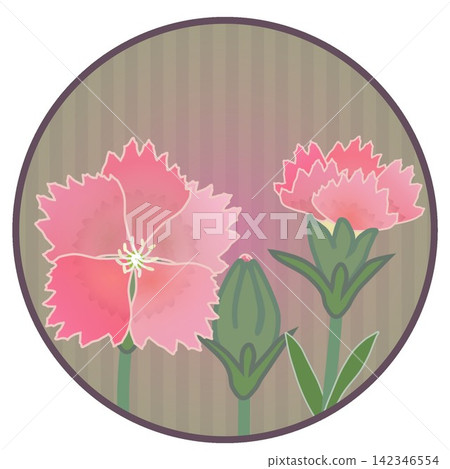 Illustration of a salmon pink dianthus with a circular background. Illustration of a salmon pink dianthus with a circular background. 142346554