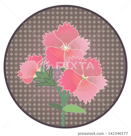 Illustration of a salmon pink dianthus with a circular background. Illustration of a salmon pink dianthus with a circular background. 142346577