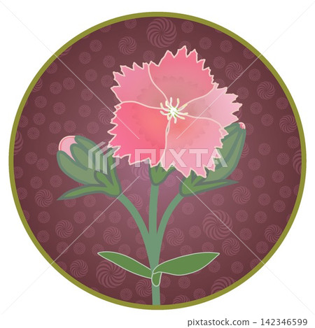 Illustration of a salmon pink dianthus with a circular background. Illustration of a salmon pink dianthus with a circular background. 142346599
