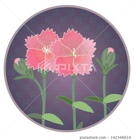 Illustration of a salmon pink dianthus with a circular background. Illustration of a salmon pink dianthus with a circular background. 142346619