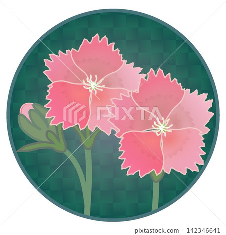 Illustration of a salmon pink dianthus with a circular background. 142346641