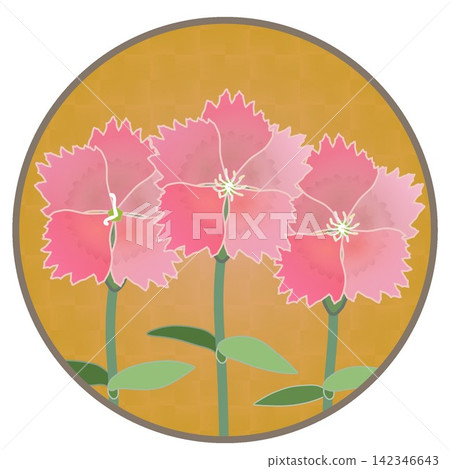 Illustration of a salmon pink dianthus with a circular background. Illustration of a salmon pink dianthus with a circular background. 142346643