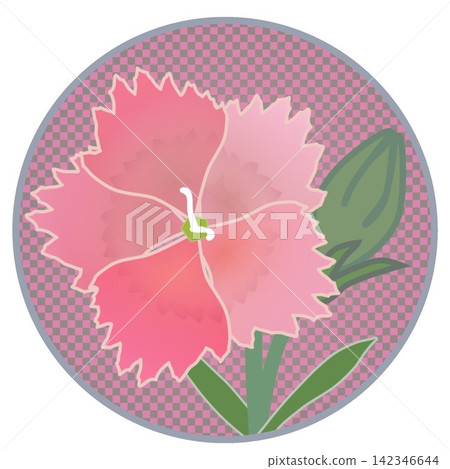 Illustration of a salmon pink dianthus with a circular background. Illustration of a salmon pink dianthus with a circular background. 142346644