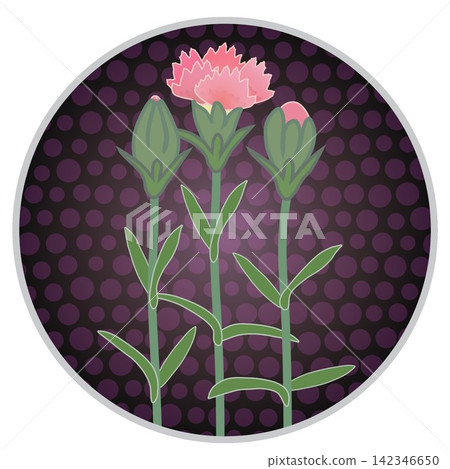 Illustration of a salmon pink dianthus with a circular background. Illustration of a salmon pink dianthus with a circular background. 142346650