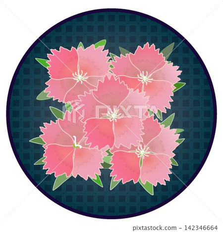 Illustration of a salmon pink dianthus with a circular background. Illustration of a salmon pink dianthus with a circular background. 142346664