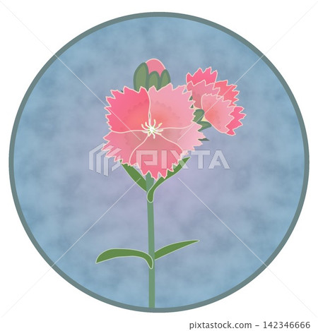 一幅鮭魚粉紅色石竹花的插圖，背景為圓形。 142346666
