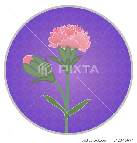 Illustration of a salmon pink dianthus with a circular background. Illustration of a salmon pink dianthus with a circular background. 142346674