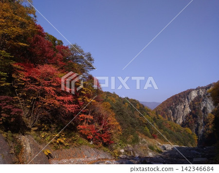 在秋葉之間的山 在秋葉之間的山 142346684