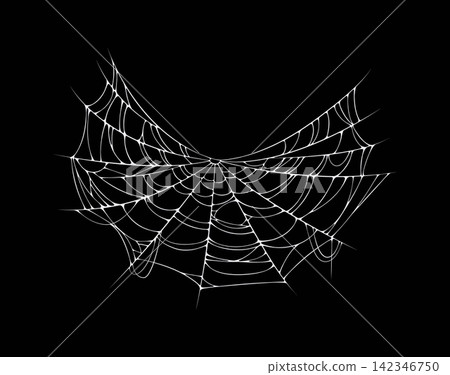 Isolated Halloween spider web and cobweb threads, spiderweb texture. Detailed white asymmetric cobweb stretched wide with tangled thread structure. Vector cobweb for Halloween greeting cards 142346750