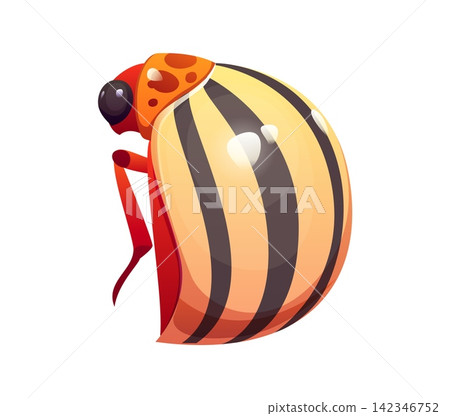 Cartoon insect font letter D shaped as Colorado potato beetle. Glossy bug with striped yellow brown shell body and red legs. Vibrant kids alphabet typeface character for educational alphabet posters Cartoon insect font letter D shaped as Colorado potato beetle. Glossy bug with striped yellow brown shell body and red legs. Vibrant kids alphabet typeface character for educational alphabet posters 142346752