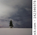 北海道美瑛雪原上的「日落樹」（豎視圖）。 142346978