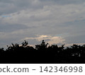Sunset beyond the trees 142346998