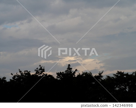Sunset beyond the trees Sunset beyond the trees 142346998