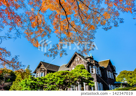 東京古河庭園的秋葉 東京古河庭園的秋葉 142347019