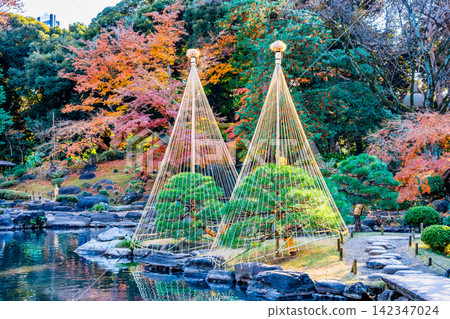 Autumn leaves at the Former Furukawa Garden in Tokyo Autumn leaves at the Former Furukawa Garden in Tokyo 142347024