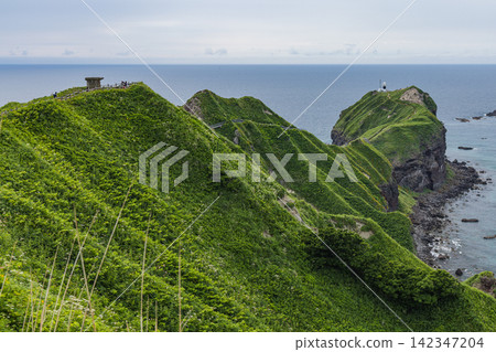 Japan, Hokkaido, Shakotan Town: The hills and majestic cape of Cape Kamui covered in fresh summer wildflowers. Japan, Hokkaido, Shakotan Town: The hills and majestic cape of Cape Kamui covered in fresh summer wildflowers. 142347204
