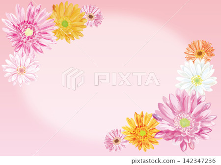 非洲菊邊框背景(粉紅色圓圈中的白色圓圈) 非洲菊邊框背景(粉紅色圓圈中的白色圓圈) 142347236