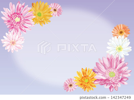 Gerbera frame background (white circle in purple) Gerbera frame background (white circle in purple) 142347249