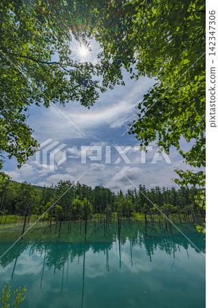 A fantastical circumhorizontal arc appeared in the sky above Shirogane Blue Pond in Biei Town, Hokkaido, Japan. A fantastical circumhorizontal arc appeared in the sky above Shirogane Blue Pond in Biei Town, Hokkaido, Japan. 142347306