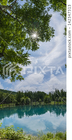 A fantastical circumhorizontal arc appeared in the sky above Shirogane Blue Pond in Biei Town, Hokkaido, Japan. A fantastical circumhorizontal arc appeared in the sky above Shirogane Blue Pond in Biei Town, Hokkaido, Japan. 142347313