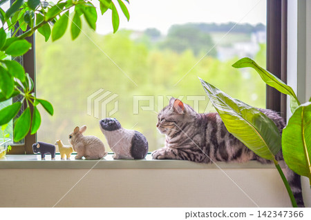 A cat relaxing by the window, surrounded by miniature animals. A cat relaxing by the window, surrounded by miniature animals. 142347366