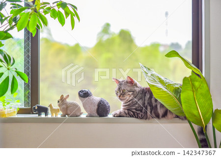 A cat relaxing by the window, surrounded by miniature animals. 142347367