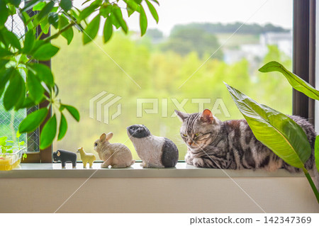 一隻貓在窗邊休息,周圍環繞著一些微型動物。 一隻貓在窗邊休息,周圍環繞著一些微型動物。 142347369