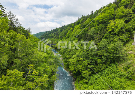 The Biei River, a clear, cobalt-blue stream, flows through the primeval forest of Shirogane, Biei Town, Hokkaido, Japan. The Biei River, a clear, cobalt-blue stream, flows through the primeval forest of Shirogane, Biei Town, Hokkaido, Japan. 142347576