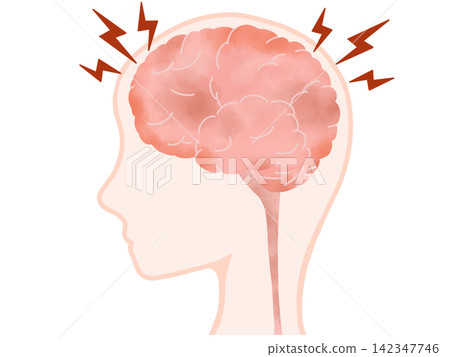 Brain and spinal cord illustration, female profile, headache/stress (with skin fill and transparent background) Brain and spinal cord illustration, female profile, headache/stress (with skin fill and transparent background) 142347746