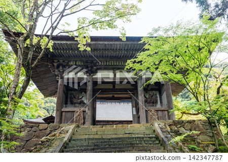 [Higashiomi City, Shiga Prefecture] Seimei-ji Temple: Nitenmon Gate and Staircase Approach 142347787