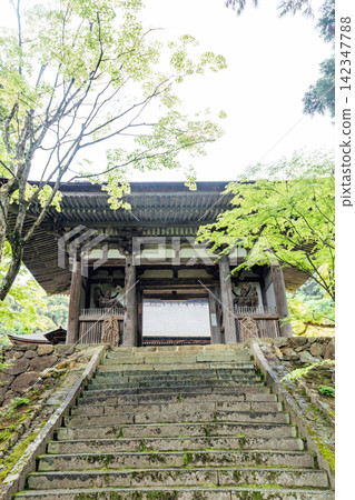 [Higashiomi City, Shiga Prefecture] Seimei-ji Temple: Nitenmon Gate and Staircase Approach 142347788