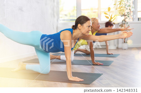 Group of people doing balancing table pose or dandayamana bharmanasana Group of people doing balancing table pose or dandayamana bharmanasana 142348331