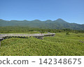 知床五湖，八月，夏季 142348675