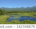 知床五湖，八月，夏季 142348676