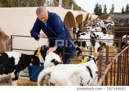 Caring male farmer in uniform giving milk to calves in plastic calf hutch on farm in countryside in autumn Caring male farmer in uniform giving milk to calves in plastic calf hutch on farm in countryside in autumn 142348682