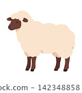 Cute Fluffy Sheep Side View Single Cut 142348858