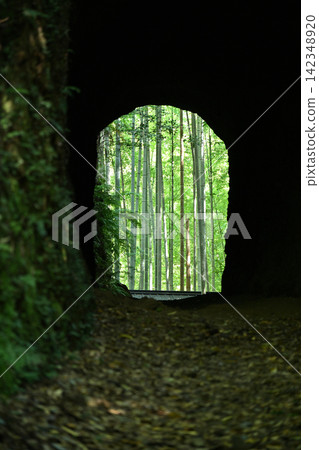 The path to another world ① The path to another world ① 142348920