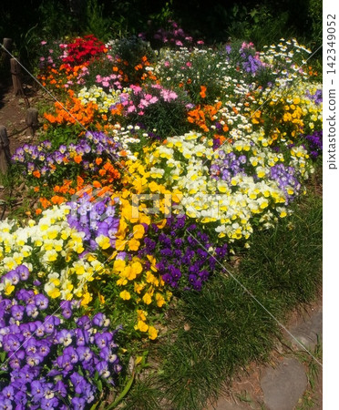 flower bed flower bed 142349052