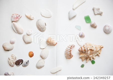 貝殼和海玻璃 貝殼和海玻璃 142349257