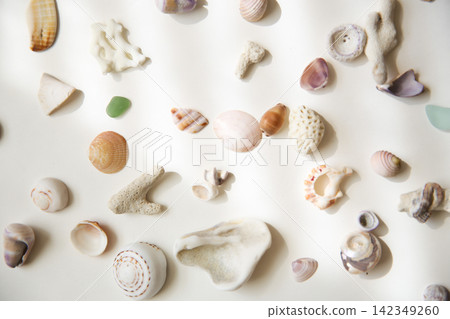 貝殼和海玻璃 貝殼和海玻璃 142349260