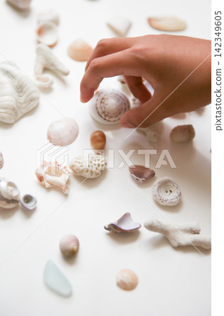 Shells, sea glass, and children's hands Shells, sea glass, and children's hands 142349605