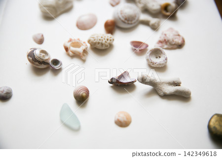 Shells and sea glass scattered on a white piece of paper Shells and sea glass scattered on a white piece of paper 142349618