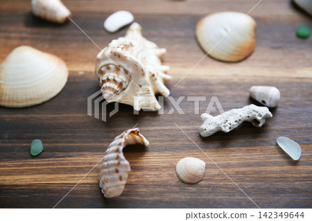 Shells, sea glass, and coral on a wooden board Shells, sea glass, and coral on a wooden board 142349644