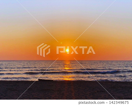 夕陽西下，浮木和沙灘構成了美麗的景象。 142349675