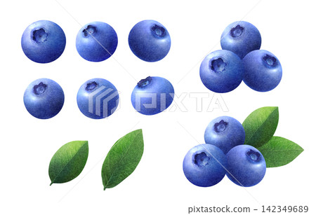 Watercolor illustration set of fresh blueberries and leaves Watercolor illustration set of fresh blueberries and leaves 142349689