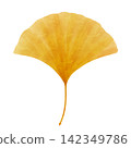 A watercolor-style illustration of autumn-colored ginkgo leaves. 142349786