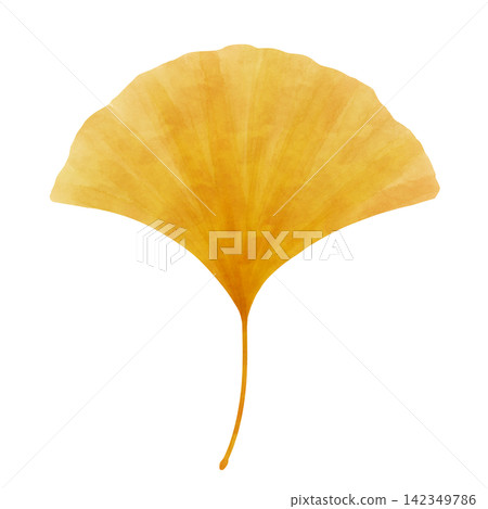 A watercolor-style illustration of autumn-colored ginkgo leaves. A watercolor-style illustration of autumn-colored ginkgo leaves. 142349786