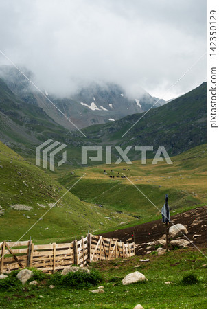 Mountain valley landscape with wooden fence and horses Mountain valley landscape with wooden fence and horses 142350129