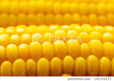 Close-up of yellow corn kernels on the cob Close-up of yellow corn kernels on the cob 142350131