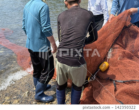 A scene from a fishing experience where participants pull up a seine net. A scene from a fishing experience where participants pull up a seine net. 142350322